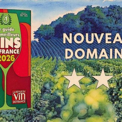 Destaques dos melhores vinhos da França: três estrelas para novos domínios em 2026