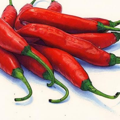 Pimenta se destaca em pesquisas que promovem avanços na saúde pública