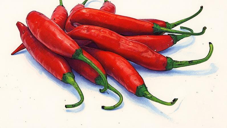 Capsaicina, substância responsável pela ardência das pimentas vermelhas, destacando suas propriedades para a saúde (Foto: Reprodução)