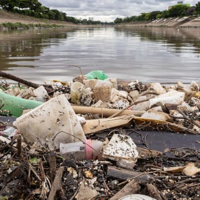 Governo de SP promete liberar banho nos rios Tietê e Pinheiros até 2029