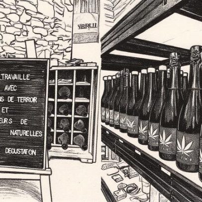 Vinho com chanvre: descubra a surpreendente história da bebida inovadora