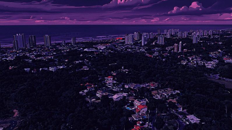 Construções próximas ao parque Vale Encantado, santuário ecológico em área urbana de Salvador, cercadas por empreendimentos imobiliários (Foto: Reprodução)