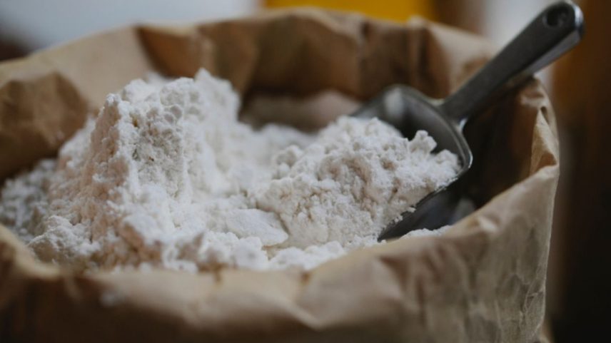 Empresas brasileiras poderão vender farinhas de origem animal para a China (Foto: Reprodução)