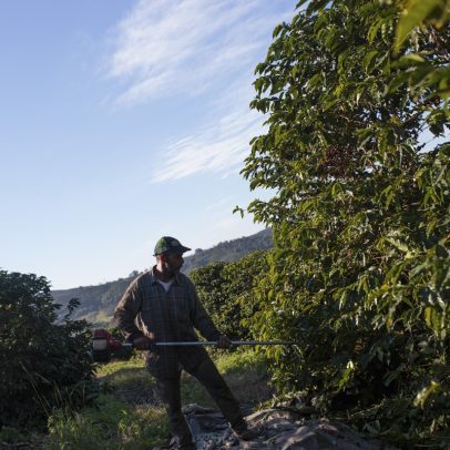 Cecafé vê chance de setor ser isento da tarifa de 50% antes de quarta-feira