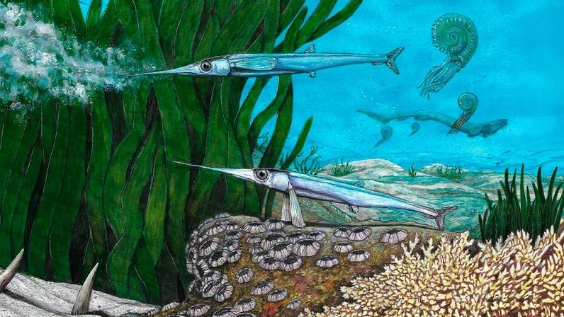Peixe pré-histórico: reconstrução artística da espécie e da fauna da Formação Snow Hill Island. (Foto: Divulgação/Revista Nature/Maurilio Oliveira)