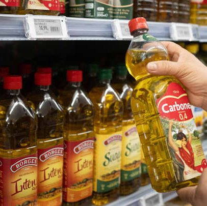 Produtora de azeite projeta recuperação e queda nos preços após crise histórica