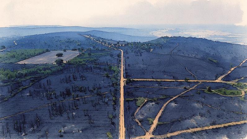 Zonas afetadas pelo incêndio em Cubo de Benavente, na província de Zamora. (Foto: Emilio Fraile)