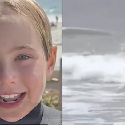 Menina de 9 anos é ferida por leão-marinho em praia da Califórnia