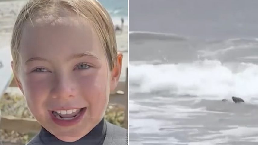 Menina de 9 anos é atacada por leão-marinho na Califórnia (Foto: Reprodução vídeo/ ABC7 News)