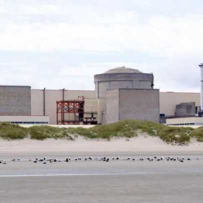 Águas-vivas obrigam usina nuclear da França a interromper suas operações
