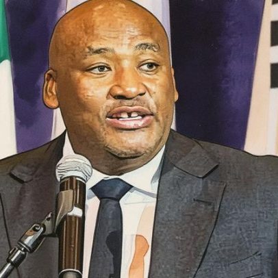 Ministro sul-africano é investigado por ofensas raciais em redes sociais