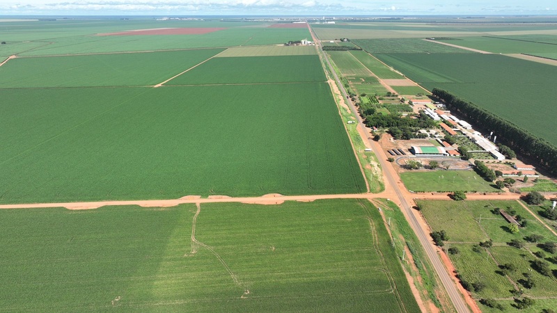 Área onde será instalada o novo centro de distribuição de sementes da Boa Safra, em Campo Novo dos Parecis (Foto: Divulgação)