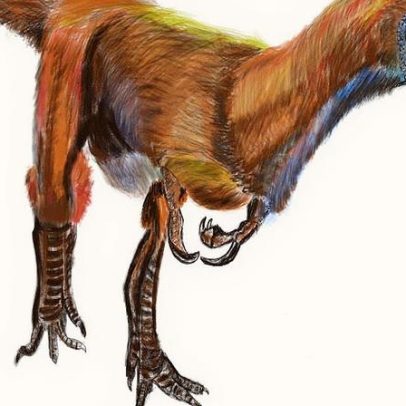 China utiliza fósseis de dinossauros para impulsionar sua ascensão como superpotência
