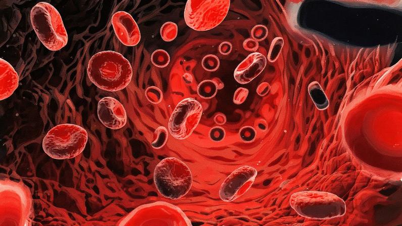 sangue veia (Foto: SCIEPRO/Getty Images)