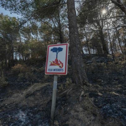 França e Itália enfrentam incêndios florestais durante onda de calor intensa