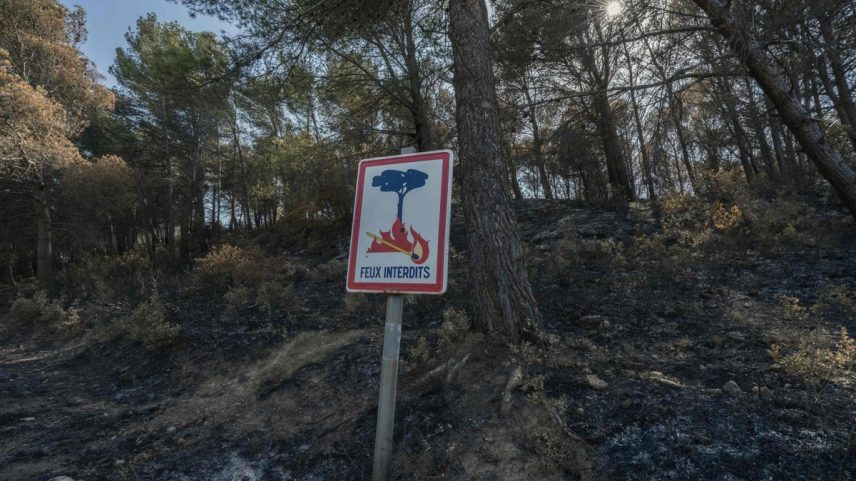 Incêndio florestal se espalhou e tomou grandes proporções em Thezan-des-Corbieres, sul da França (Foto: Idriss Bigou-Gilles / AFP)