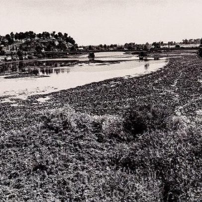 El Guadiana passará por limpeza inédita para eliminar nenúfar mexicano