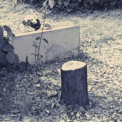 Macron condena ato de ódio após derrubada de memorial a judeu assassinado