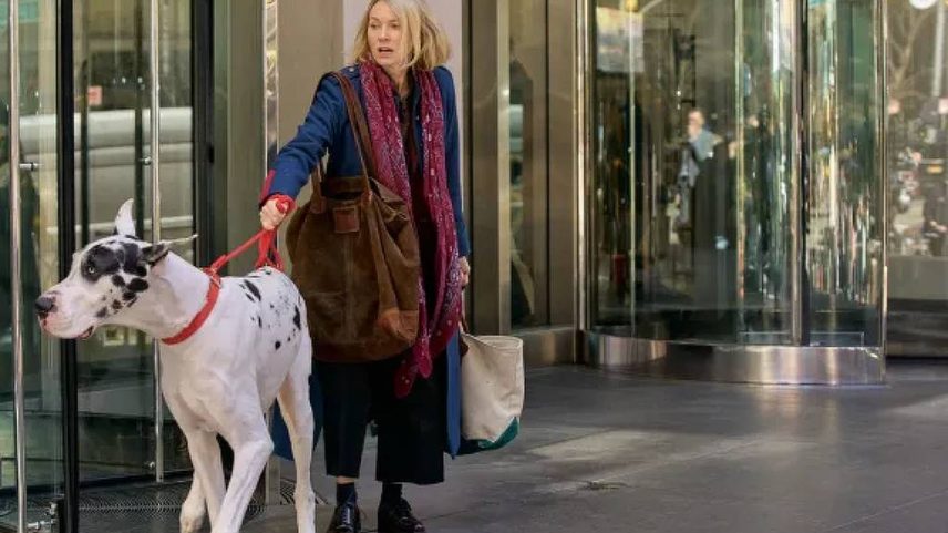 Naomi Watts em cena de 'O Amigo' (Foto: Divulgação)