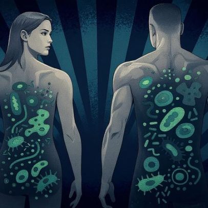 Microbiota intestinal afeta qualidade do sono, aponta nova pesquisa científica