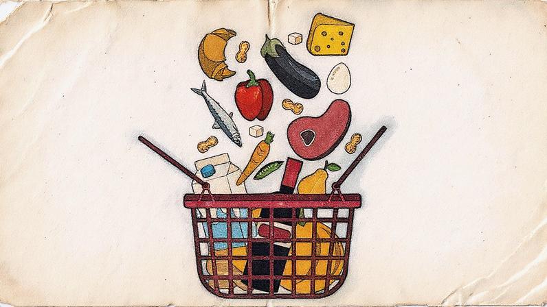 Cesto vazado vermelho contendo diversos alimentos, como carne, peixe, ovo, amendoim, queijo e legumes sobre um fundo verde água (Foto: USP Imagens)