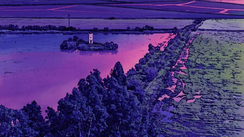 Fotografia de lagunas inundadas de água nas proximidades de Doñana, junto à Dehesa de Abajo, em Sevilla. (Foto: José Manuel Vidal/EFE)