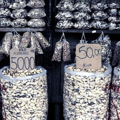 Negócios agrícolas comunitários enfrentam dependência do governo para sobreviver