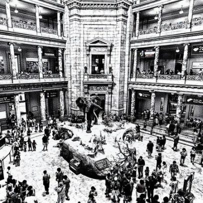 Trump busca moldar narrativa histórica através de exposições em museus
