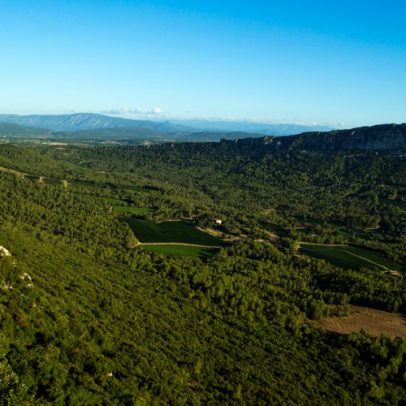 Descubra 20 vinhos do Languedoc por menos de 15 euros que você vai amar