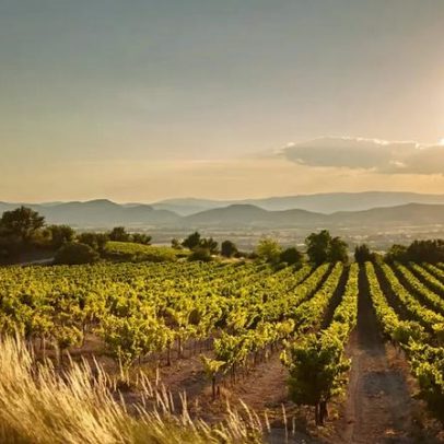 Nem rosé, nem tinto: o vinho leve do sul da França que conquista