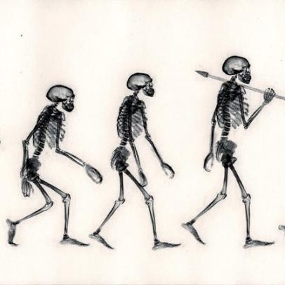 Mudanças na pelve revelam como humanos se tornaram bípedes