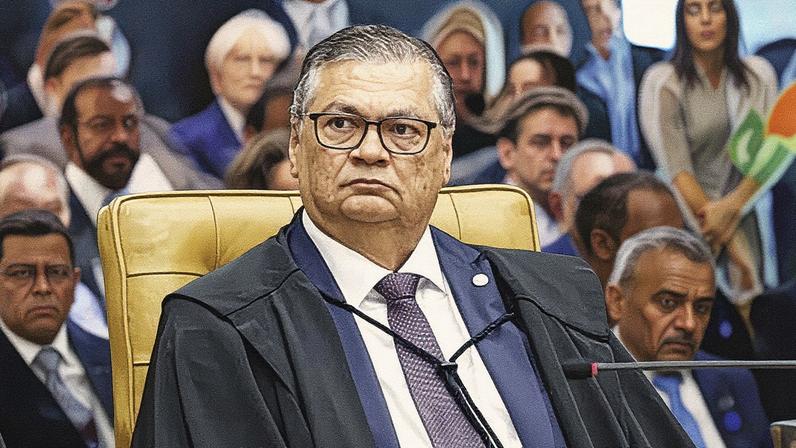 Ministro Flávio Dino, do Supremo Tribunal Federal (Foto: Nelson Jr./STF)