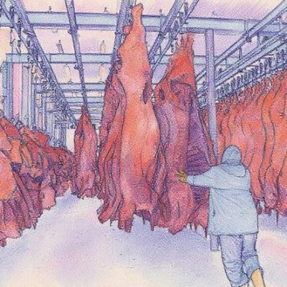 Marfrig e Minerva disputam informações em transação no mercado uruguaio