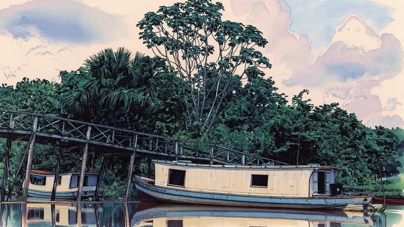 Barcos são o principal meio de transporte em algumas regiões da Amazônia (Foto: Reprodução)