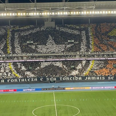 Torcida do Botafogo exibe mosaico dinâmico e impressiona no estádio
