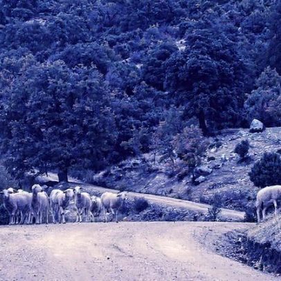 Ruralidade enfrenta desafios climáticos com turismo sustentável e energia renovável