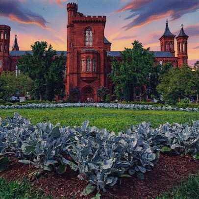 Casa Branca foca em obras específicas do Smithsonian, incluindo retrato de refugiados
