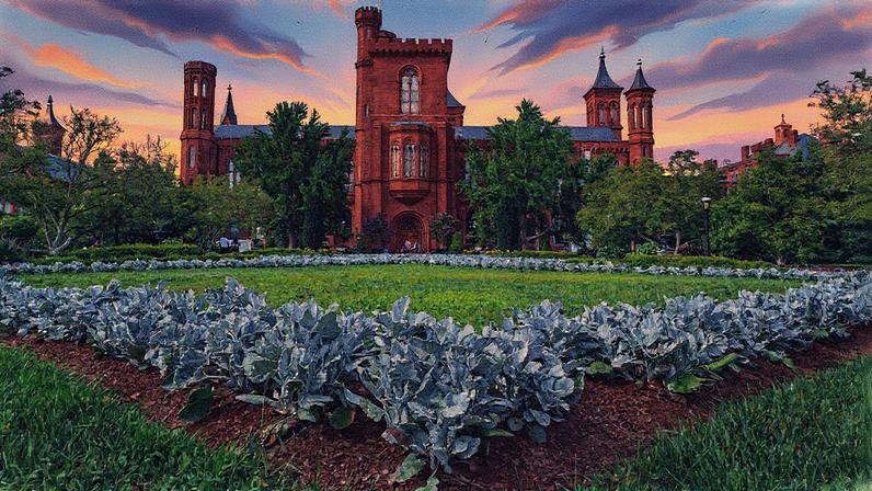 A Instituição Smithsonian. Foto David Ake/Getty Images