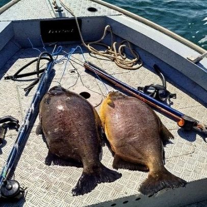 Homens multados em R$ 2,8 mil por pesca ilegal no Rio Paraná responderão por crime ambiental