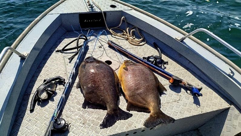 Homens praticavam pesca de mergulho no Rio Paraná, em Panorama (SP) (Foto: Polícia Militar Ambiental)