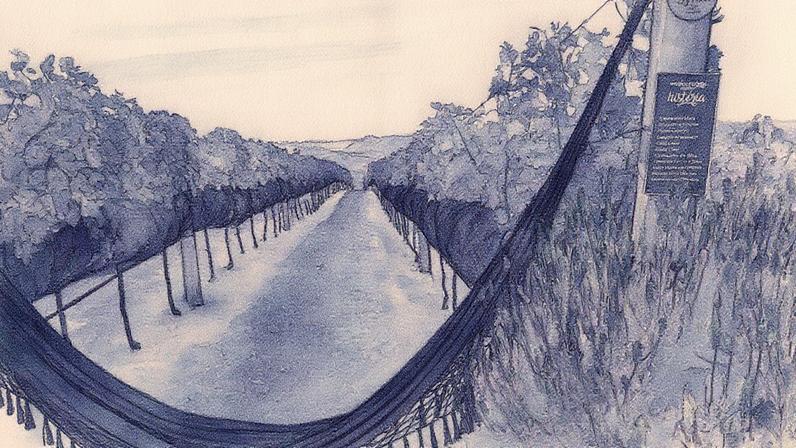 Serra dos Encontros concentra quase 50 projetos de vinícolas e recebeu prêmios internacionais pela qualidade de seus vinhos (Foto: Reprodução)