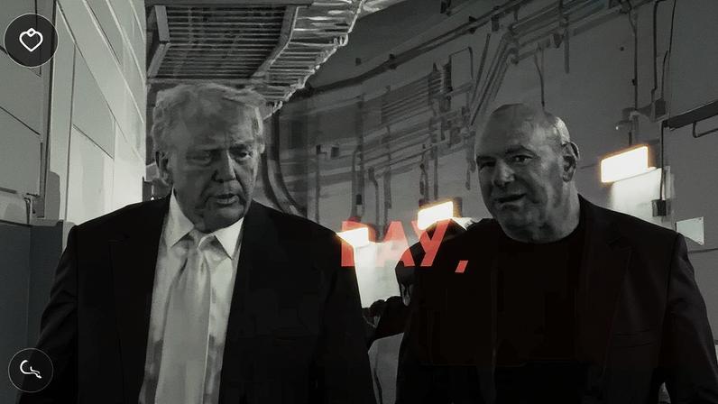 Perfil da Casa Branca no TikTok — Foto: Reprodução Donald Trump e TikTok — Foto: Jornal Nacional e AP.
