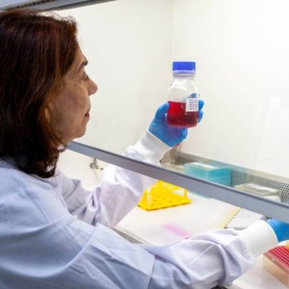 Butantan cria anticorpo monoclonal para proteger gestantes contra Zika