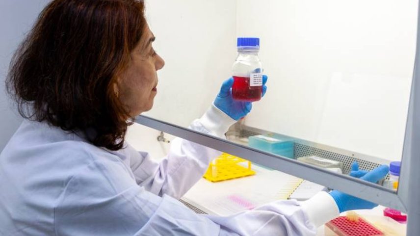 Ana Maria Moro, diretora do CeRDI e do Laboratório de Biofármacos do Butantan, é responsável pelo desenvolvimento da linhagem celular experimental. (Foto: Divulgação / Instituto Butantan)