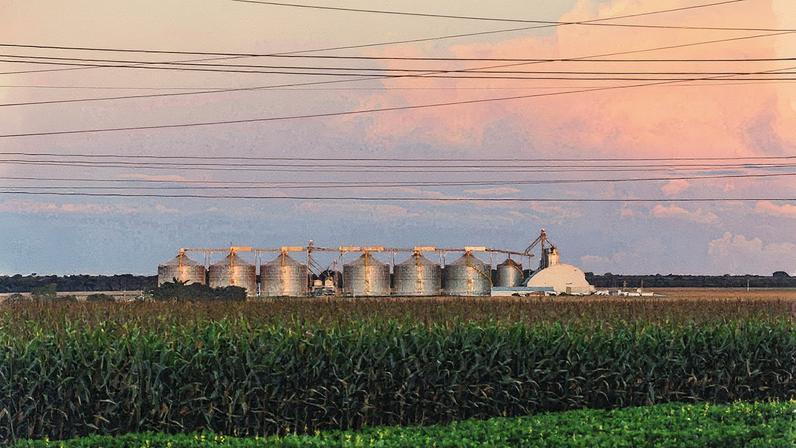 Plantação de milho e silos na cidade de Sorriso (MT) (Foto: Nilani Goettems/Valor)