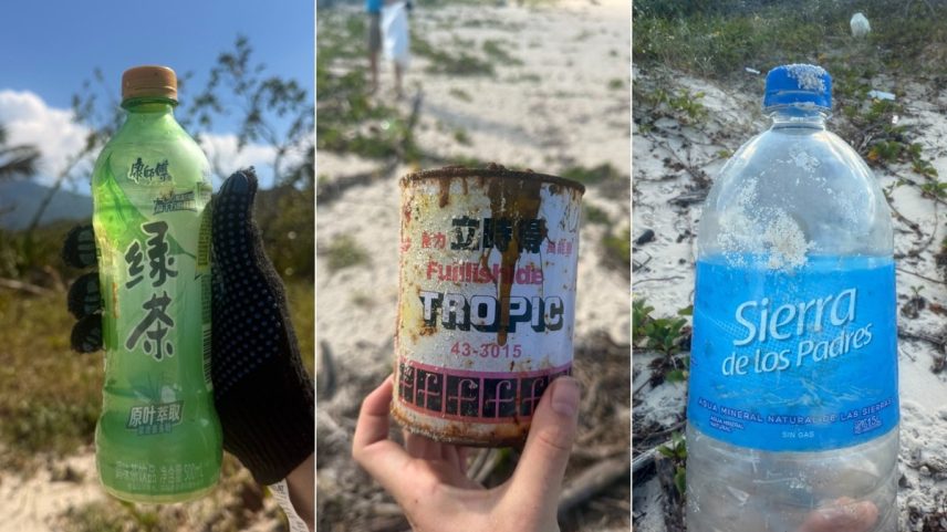 Mutirão de Limpeza encontra plásticos que podem ser ingeridos por tartarugas e aves marinhas (Foto: Divulgação/Inea)
