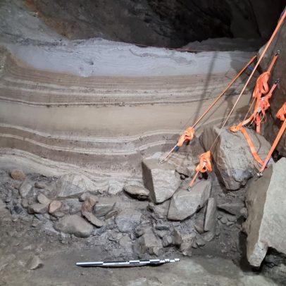 Fósseis de animais do Ártico com 75 mil anos são descobertos em caverna antiga