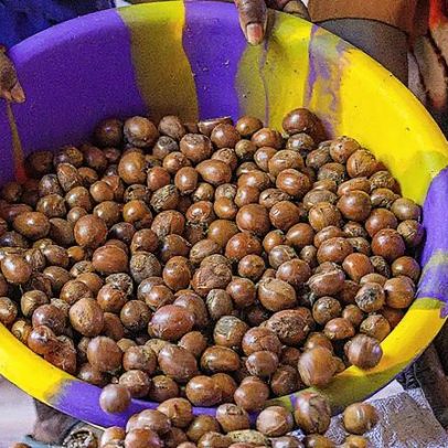 Nigéria proíbe exportação de nozes de karité usadas em cosméticos por seis meses