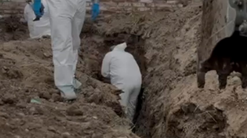 Corpos desmembrados estavam em sacos plásticos em Irapuato, no estado de Guanajuato (Foto: Reprodução)