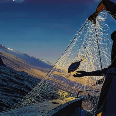 'Tarifas dos EUA tornam inviável exportação de pescados, afirma empresário'